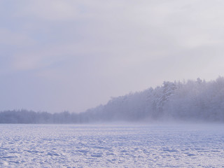 Piękny śnieżny zimowy poranek. - obrazy, fototapety, plakaty