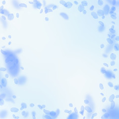 Dark blue flower petals falling down. Bold romanti