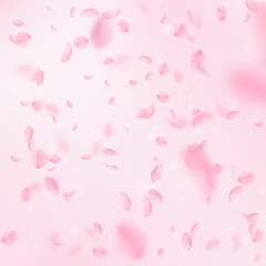 Sakura petals falling down. Romantic pink flowers 