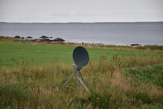 Norwegen, Nordland, Kystveien, K&uuml;stenstra&szlig;e, Antenne, Satellitenantenne, Sch&uuml;ssel, Elevation, DVB-S, DVB-S2, SD, HD, TV, Wiese, Feld, Bod&oslash;, K&uuml;ste, LNB, LNC, Mast