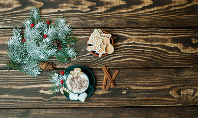 cup of hot cocoa with marshmallow, cookies, fir-tree on wooden background