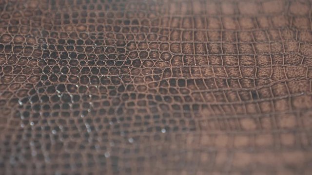 Texture of artificial snake skin extremely close up