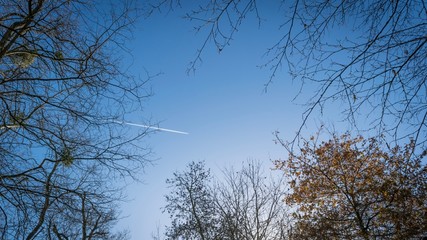 Ciel bleu