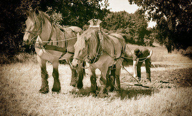 Feldarbeit Vintage