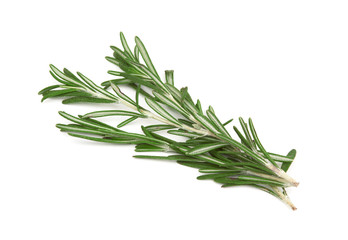 Fototapeta premium Fresh rosemary on white