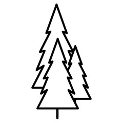 pines trees design