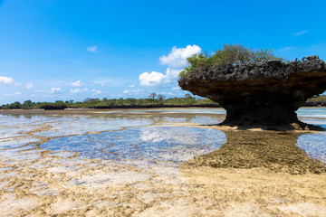 Fototapeta premium Felsformation bei Ebbe, Chale Island, Kenia