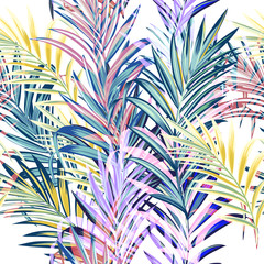 Collection of colorful palm leaves for design