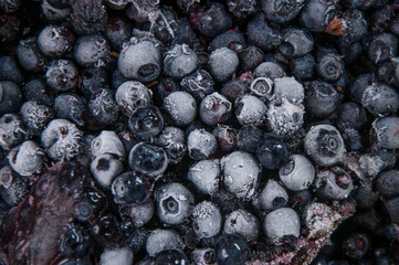 frozen blueberries for dessert