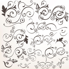 Set of vector calligraphic flourishes for design