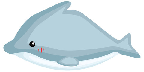 Obraz premium wektor słodkiego i uroczego delfina