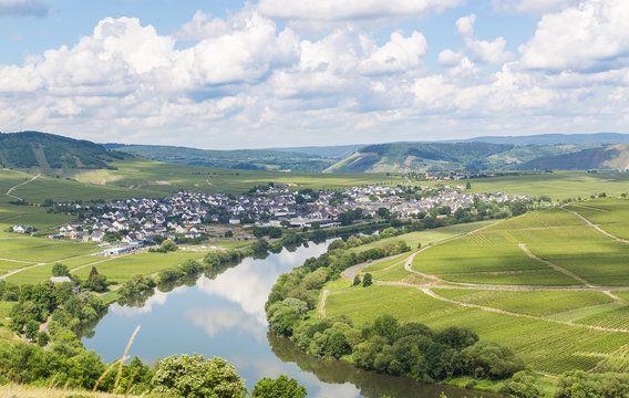 Leiwen an der Mosel Rheinland-Pfalz Deutschland