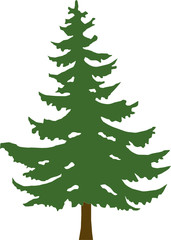 Green Christmas tree on a white background
