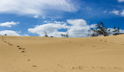 Dunas de Corralejo