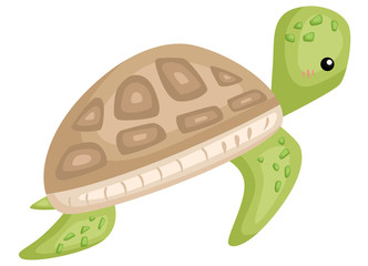 a vector of a cute and adorable turtle