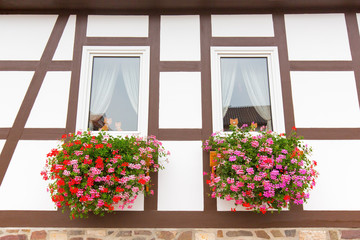 Facade of half-timbered house with geranium flowers