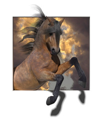 A 3d illustration of a rearing horse coming out of a square in a white background © brookhouse