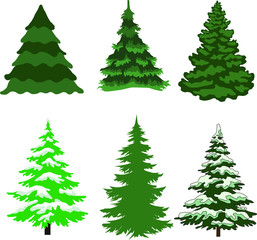 Green Christmas tree on a white background
