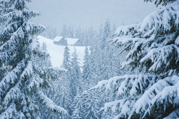 Winter scene with a wooden house in a mountain forest
