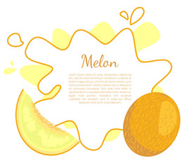 Melon Exotic Juicy Stone Fruit Vector Isolated