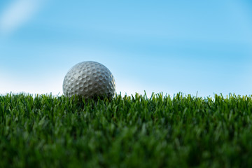 golf ball on grass