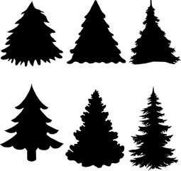 Shadow of green christmas trees on white background
