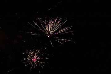 Fototapeta premium Fireworks lights in the night sky