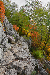 Autumn colours on display in the Carso karst limestone area of Friuli, near Doberdo in north east Italy.
