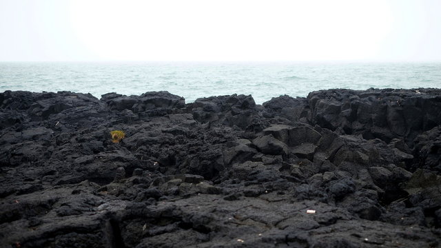 Fototapeta Ocean i czarne kamienie Islandii