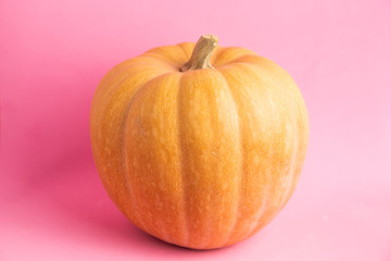 pumpkin on colorful background