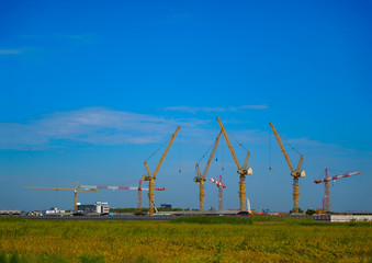 Fototapeta na wymiar Turret slewing cranes with grren rice feild and blue sky.