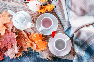 Pure coffee or tea set. A pair of elegant porcelain light gray and pastel pink cups on a cozy autumn background
