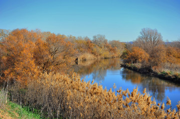 rio en otoño