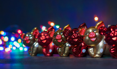 Christmas decorations, pigs, against the background of luminous Christmas lanterns