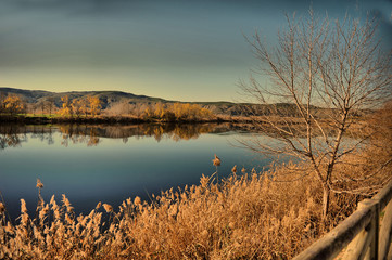 lago en otoño
