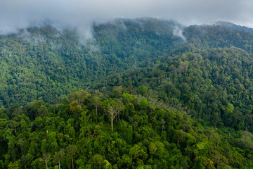 Fototapeta na wymiar Aerial view of cloud hanging over dense, mountainous tropical jungle