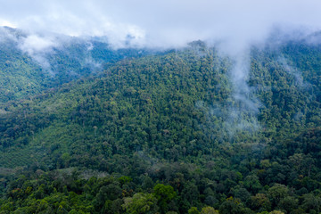 Fototapeta na wymiar Low clouds and fog forming above mountainous tropical rainforest