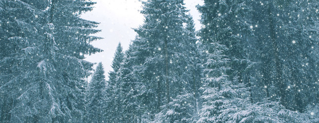 Snowfall in winter forest. Nature background with snow.