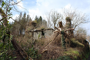 Old house by the side of the road falling apart
