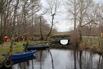 Obraz premium Killarney National Park, County Kerry, Ireland