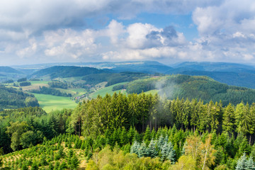 Germany, Little cloud over green shiny conifer trees in endless black forest nature