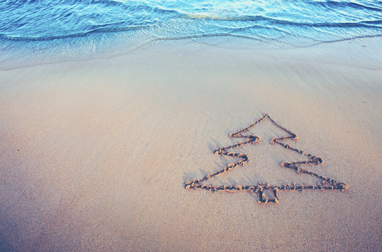 Fir tree drawing on the sand near the sea . Christmas background.