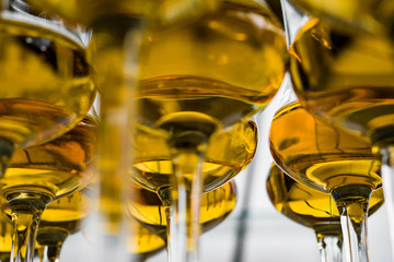 Dear Scotch whiskey in branded glasses on a high leg.