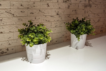 Artificial decorative grass, fake flowers in white pots on the kitchen countertop, home interior elements