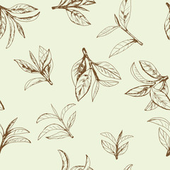 seamless pattern of tea, leaves and branches, hand-drawn - 235127334