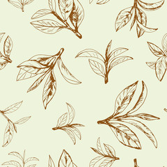Fototapety  wzór herbaty, liści i gałęzi, ręcznie rysowane