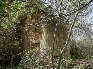 Old abandoned building in the woods, fallen apart, with trees growing in front of it in the mountains of Ronda, Spain