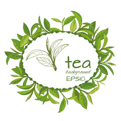 Vector logo of tea, leaves and branches, hand-drawn  - 235127928