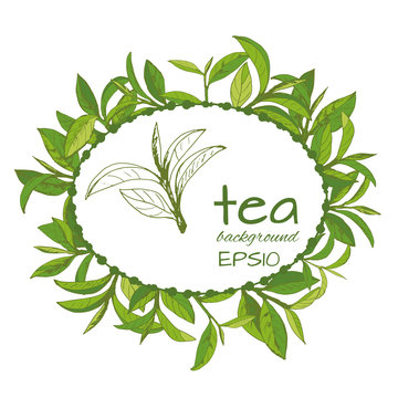 Vector logo of tea, leaves and branches, hand-drawn 