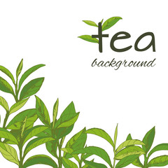 Vector logo of tea, leaves and branches, hand-drawn  - 235128755